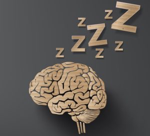 Illustrator of sleeping brain