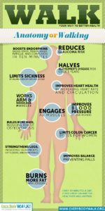 Health benefits of walking Infographic
